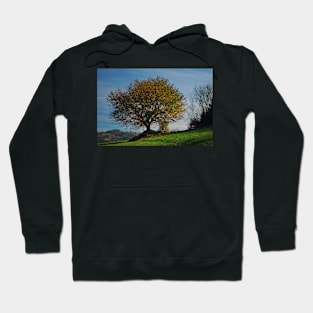 Autumn tree Hoodie